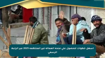 أسهل خطوات للحصول على منحة العمالة غير المنتظمة 2025 عبر الرابط الرسمي